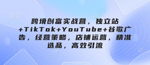 跨境创富实战营，独立站+TikTok+YouTube+谷歌广告，经营策略，店铺运营，精准选品，高效引流-HEIXMI（中国站）