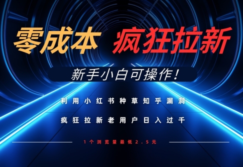 利用小红书种草知乎漏洞，零成本疯狂拉新日入数张，新手小白可操作-HEIXMI（中国站）