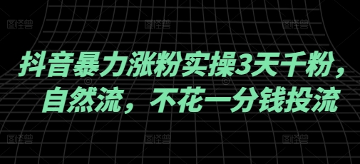 抖音暴力涨粉实操3天千粉，自然流，不花一分钱投流，实操经验分享-HEIXMI（中国站）