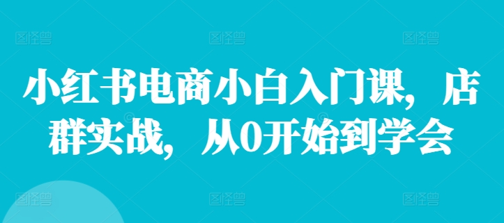 小红书电商小白入门课，店群实战，从0开始到学会-HEIXMI（中国站）