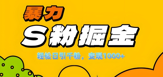 单人单机日引千粉，变现1k+，S粉流量掘金计划攻略【揭秘】-HEIXMI（中国站）