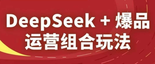 DeepSeek+爆品运营组合玩法，2025淘系精品课-HEIXMI（中国站）