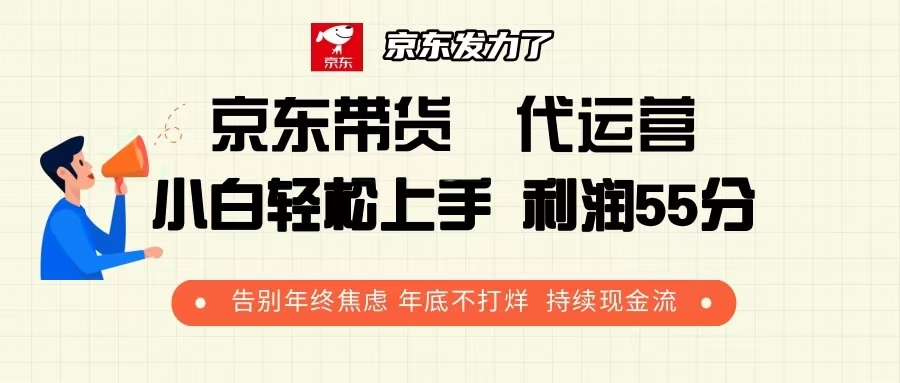 京东带货 代运营 利润55分 告别年终焦虑 年底不打烊 持续现金流-HEIXMI（中国站）