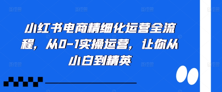 小红书电商精细化运营全流程，从0-1实操运营，让你从小白到精英-HEIXMI（中国站）