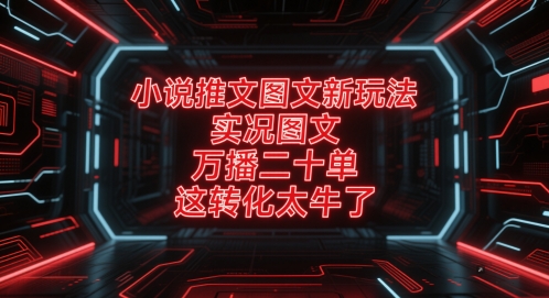 小说推文图文新玩法，实况图文，万播二十单，这转化太牛了！ - HEIXMI（中国站）-HEIXMI（中国站）