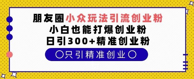 朋友圈小众玩法引流创业粉，小白也能打爆创业粉，日引300+精准创业粉【揭秘】-HEIXMI（中国站）