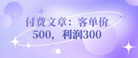 付费文章：客单价500，利润300-HEIXMI（中国站）