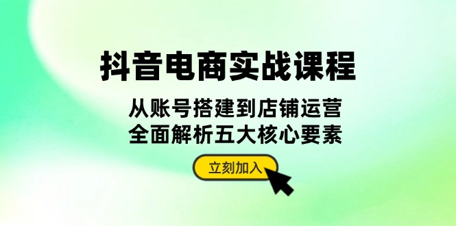 抖音 电商实战课程：从账号搭建到店铺运营，全面解析五大核心要素-HEIXMI（中国站）