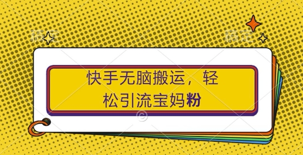 快手无脑搬运，轻松引流宝妈粉，纯小白轻松上手【揭秘】-HEIXMI（中国站）