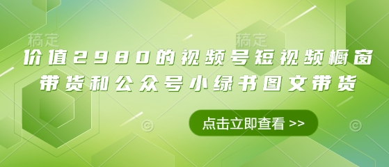 价值2980的视频号短视频橱窗带货和公众号小绿书图文带货-HEIXMI（中国站）