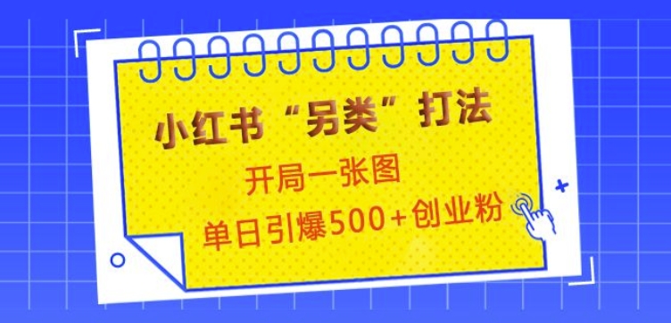 小红书“另类”打法，开局一张图，单日引爆500+精准创业粉【揭秘】-HEIXMI（中国站）
