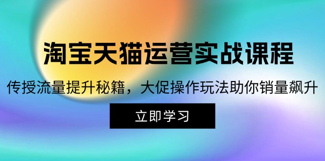 淘宝&天猫运营实战课程，传授流量提升秘籍，大促操作玩法助你销量飙升-HEIXMI（中国站）