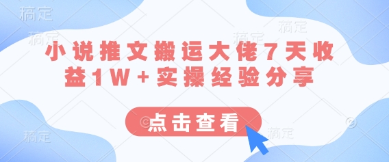 小说推文搬运大佬7天收益1W+实操经验分享-HEIXMI（中国站）