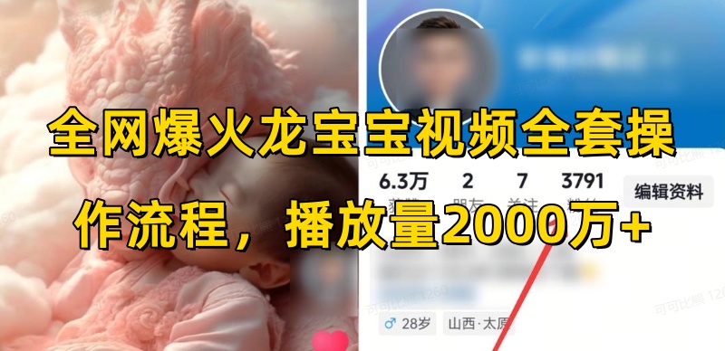 全网爆火龙宝宝视频全套操作流程，播放量2000万+-HEIXMI（中国站）
