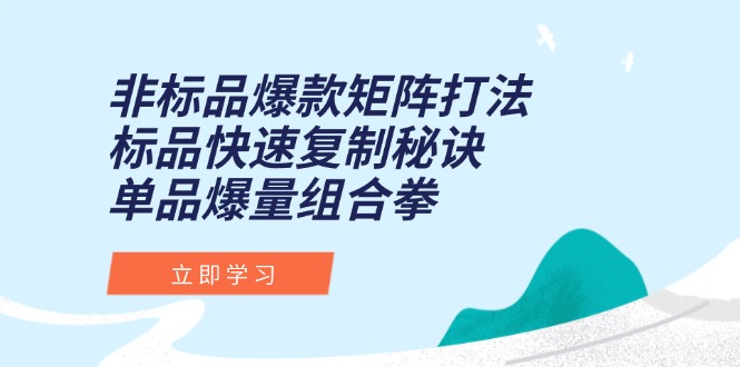 非标品爆款矩阵打法，标品快速复制秘诀，单品爆量组合拳 - HEIXMI（中国站）-HEIXMI（中国站）