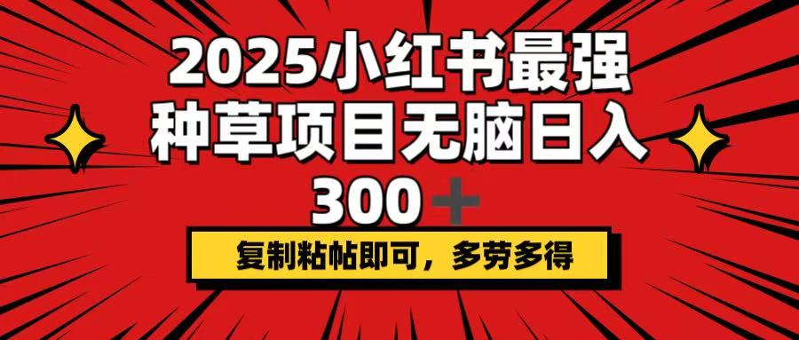 2025小红书最强种草项目，无脑日入300+，复制粘帖即可，多劳多得-HEIXMI（中国站）