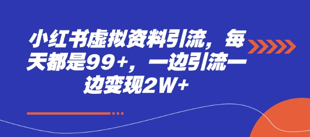 小红书虚拟资料引流，每天都是99+，一边引流一边变现2W+-HEIXMI（中国站）
