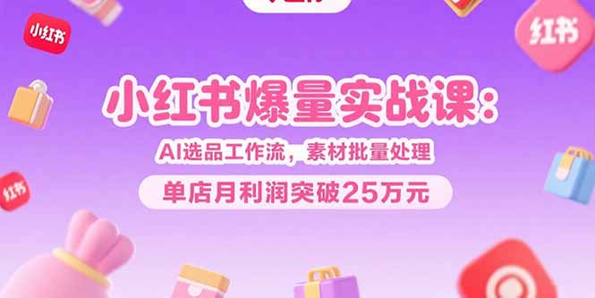 小红书爆量实战课：AI选品工作流，素材批量处理，单店月利润突破25万元-HEIXMI（中国站）