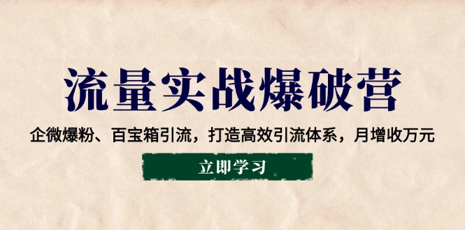 流量实战爆破营：企微爆粉、百宝箱引流，打造高效引流体系，月增收万元-HEIXMI（中国站）