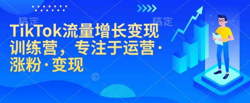 TikTok流量增长变现训练营，专注于运营·涨粉·变现-HEIXMI（中国站）
