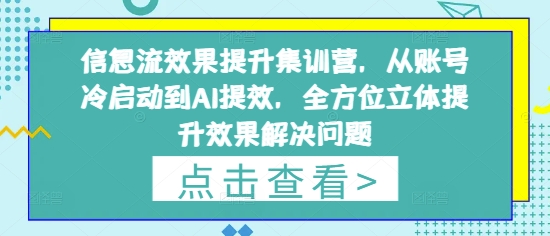 信息流效果提升集训营，从账号冷启动到AI提效，全方位立体提升效果解决问题-HEIXMI（中国站）