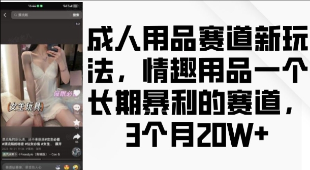 成人用品赛道新玩法，情趣用品一个长期暴利的赛道，3个月收益20个【揭秘】-HEIXMI（中国站）