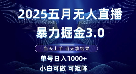 2025五月无人直播暴力掘金3.0，当天上手，当天拿结果，单号日入1k+小白可做可矩阵【揭秘】-HEIXMI（中国站）