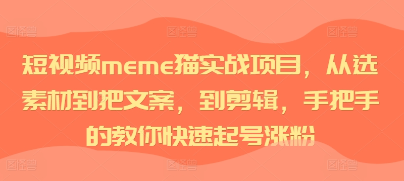 短视频meme猫实战项目，从选素材到把文案，到剪辑，手把手的教你快速起号涨粉-HEIXMI（中国站）