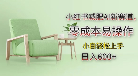 小红书减肥AI新赛道，零成本易操作，日入多张，小白轻松上手【揭秘】-HEIXMI（中国站）