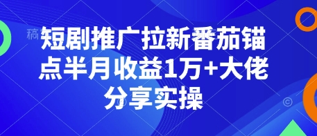 短剧推广拉新番茄锚点半月收益1万+大佬分享实操-HEIXMI（中国站）
