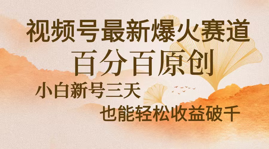 视频号最新爆火赛道，中老年粉深信不疑，百分百原创，新号三天收益轻松…-HEIXMI（中国站）