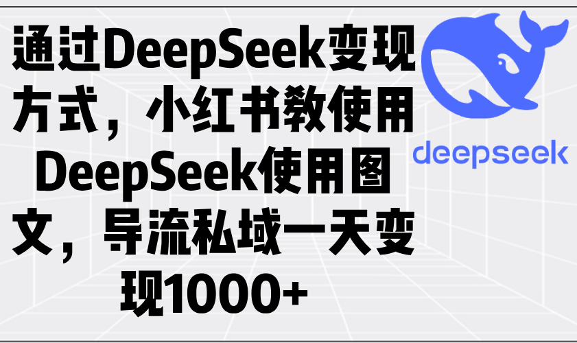 通过DeepSeek变现方式，小红书教使用DeepSeek图文，导流私域一天变现1000+-HEIXMI（中国站）