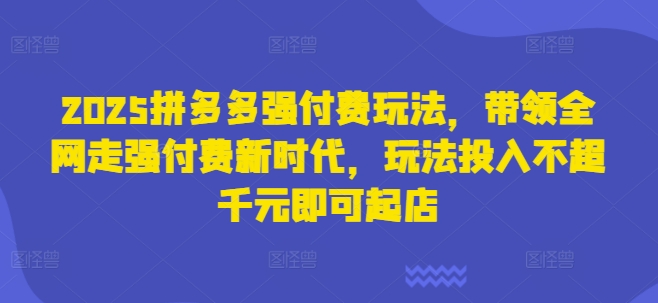2025拼多多强付费玩法，带领全网走强付费新时代，玩法投入不超千元即可起店-HEIXMI（中国站）