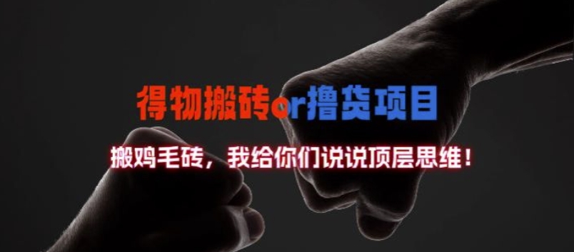 得物搬砖撸货项目?掰下数据，我给你们说说顶层思维【揭秘】-HEIXMI（中国站）