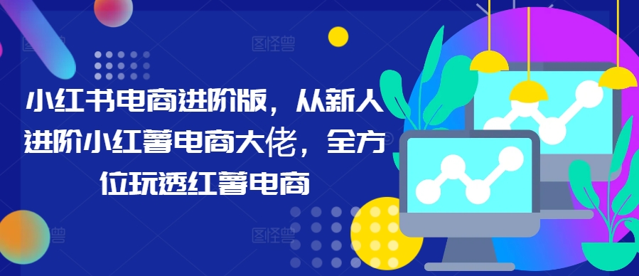 小红书电商进阶版，从新人进阶小红薯电商大佬，全方位玩透红薯电商-HEIXMI（中国站）