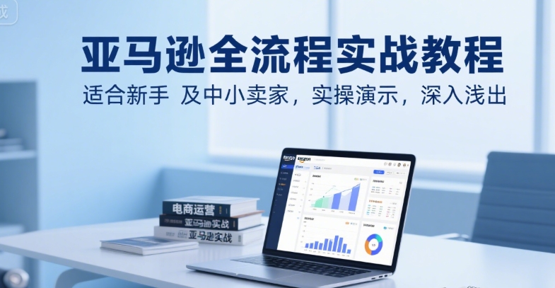 亚马逊全流程实战教程，适合新手及中小卖家，实操演示，深入浅出-HEIXMI（中国站）