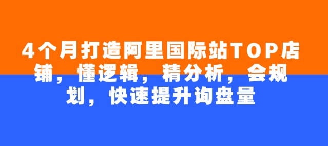 4个月打造阿里国际站TOP店铺，懂逻辑，精分析，会规划，快速提升询盘量-HEIXMI（中国站）