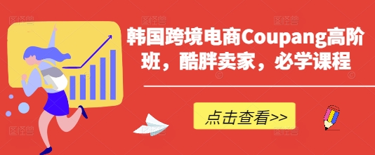 韩国跨境电商Coupang高阶班，酷胖卖家，必学课程-HEIXMI（中国站）