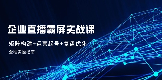企 业 直 播 霸 屏实战课：矩阵构建+运营起号+复盘优化，全程实操指南-HEIXMI（中国站）