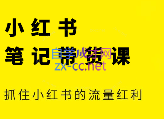 张宾·小红书笔记带货课(更新4月) - HEIXMI（中国站）-HEIXMI（中国站）