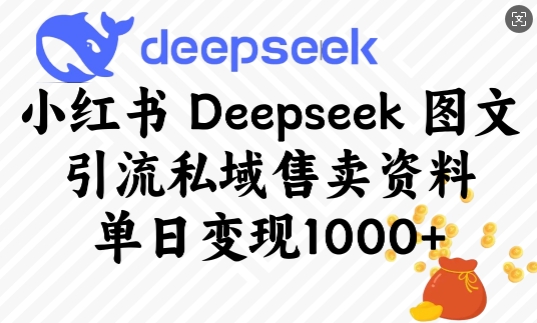 小红书Deepseek图文引流私域售卖资料，单日变现多张-HEIXMI（中国站）