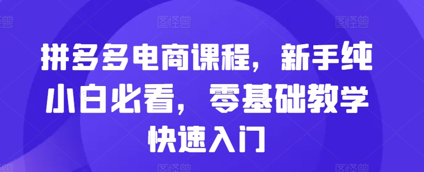 拼多多电商课程，新手纯小白必看，零基础教学快速入门-HEIXMI（中国站）