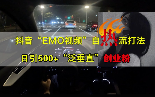 抖音EMO视频自热打法，日引500+“泛垂直”创业粉-HEIXMI（中国站）