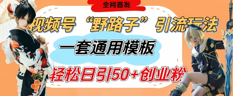 视频号“野路子”玩法，评论区疯狂截流，一套模板单日单号引流50+创业粉-HEIXMI（中国站）
