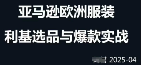跨境电商选品案例24-25年，聚焦跨境电商选品策略与运营优化，助力卖家挖掘蓝海市场-HEIXMI（中国站）