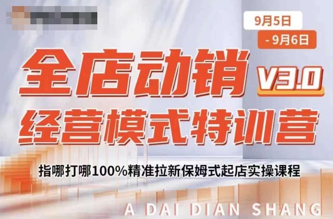 全店动销经营模式特训营，指哪打哪100%精准拉新保姆式起店实操课程-HEIXMI（中国站）