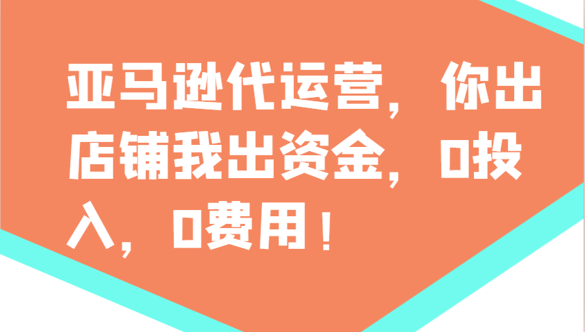 亚马逊代运营，你出店铺我出资金，0投入，0费用，无责任每天300分红，赢亏我承担-HEIXMI（中国站）
