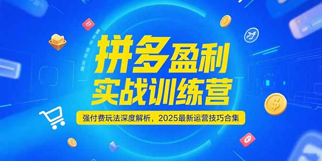 拼多多盈利实战训练营，强付费玩法深度解析，2025运营技巧合集-更新6月 - HEIXMI（中国站）-HEIXMI（中国站）