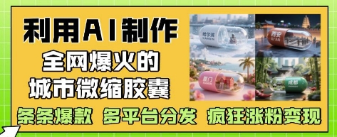 利用AI制作全网爆火的城市微缩胶囊，条条爆款， 多平台分发，疯狂涨粉变现-HEIXMI（中国站）