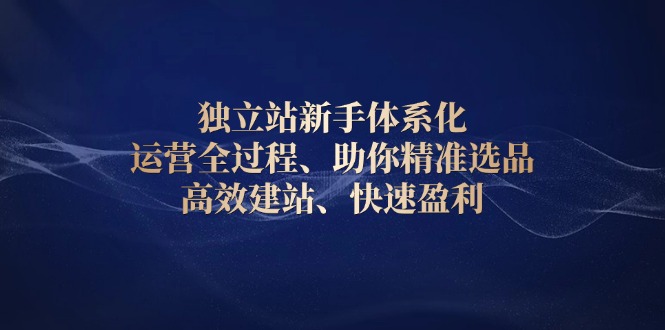 独立站新手体系化 运营全过程，助你精准选品、高效建站、快速盈利-HEIXMI（中国站）